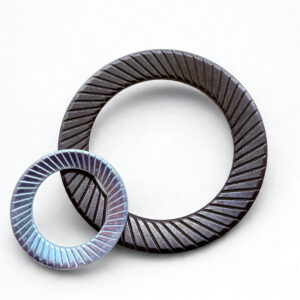 Arandela Tipo Schnorr - TECFI PRESS